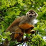 99真人的未来发展趋势:技术革新与市场前景分析 01g47axyx