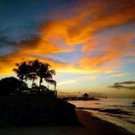 88必发娱乐的安全性与用户体验全面解析 02j63