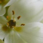 68彩娱乐:探索全新在线娱乐平台的无限可能 85buv2m