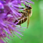 8号国际娱乐的魅力:让你尽享游戏与社交的双重乐趣 9367wy