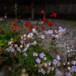 99真人娱乐:畅享真实游戏体验的最佳选择 ltb2f