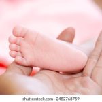 a8体育平台评测:用户体验与功能全面解析 pr8gpv