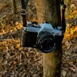 97彩世界官网网址的注册流程与用户体验分享 pxt878sjt