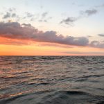 3u娱乐的安全性与用户隐私保护措施详解 q45na