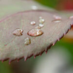 1398开奖结果揭晓,幸运号码震撼出炉 47865214fz