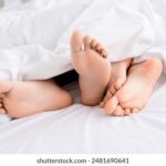 334开奖前后出号规律深度解析与预测 868bound