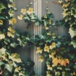 33774期最新开奖结果与详细数据分析 dxas1