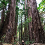 136期开奖结果震撼揭晓,幸运号码花落谁家? nxqwe54