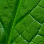 137期彩票开奖时间最新公布与查询指南 r2daqm4