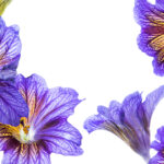 3374期开奖现场直播全程回顾与中奖号码公布 t2ckhr2d